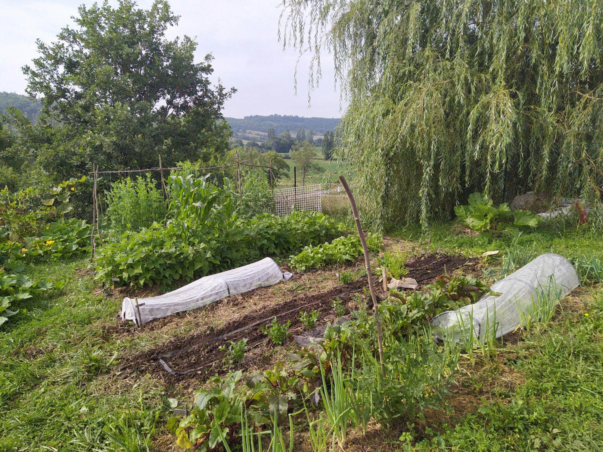 Les Gites De Campardon Monties Exterior foto